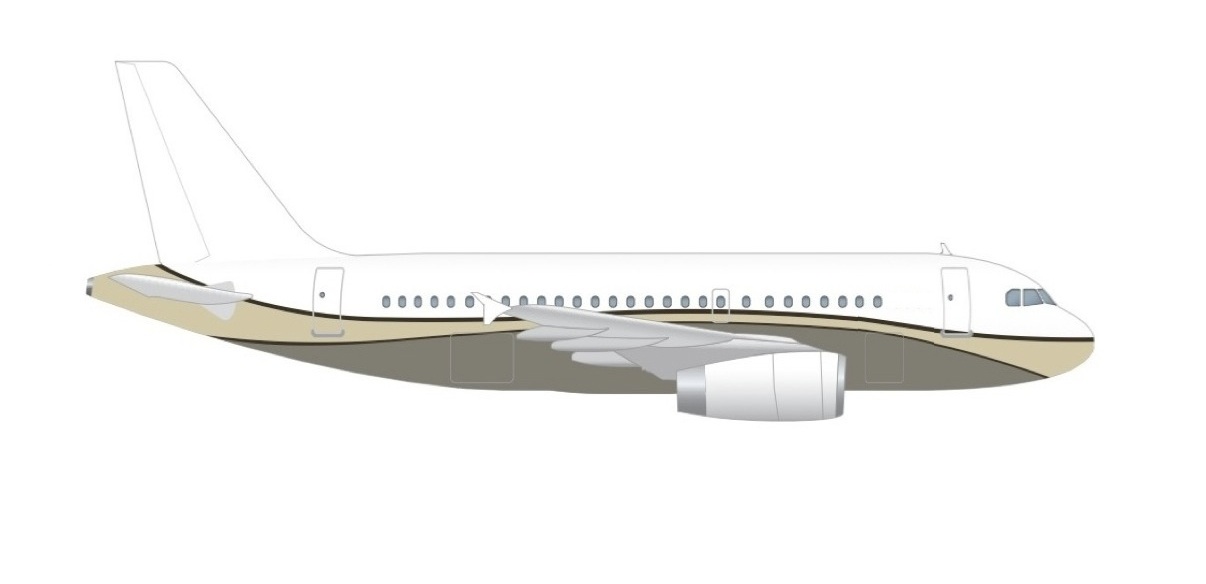 New Airbus ACJ318 Corporate Jet for sale